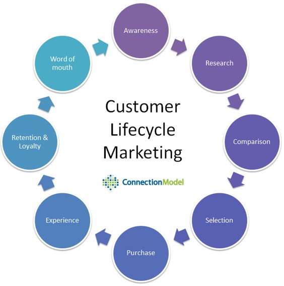 Customer life cycle