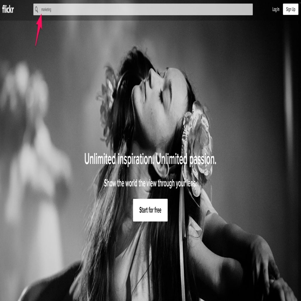 flickr search flickr search