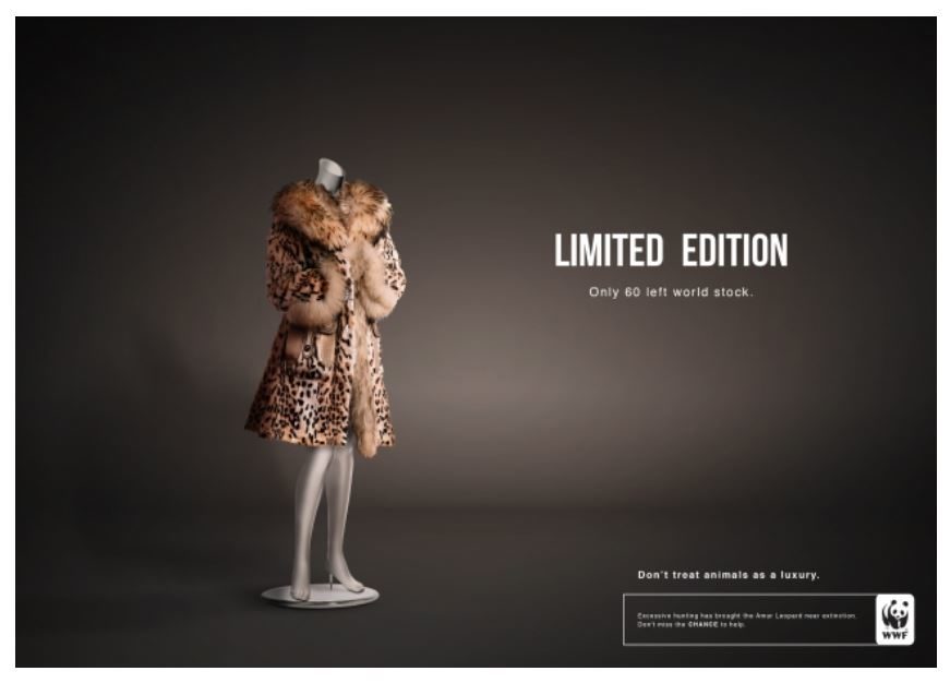 WWF advertisement