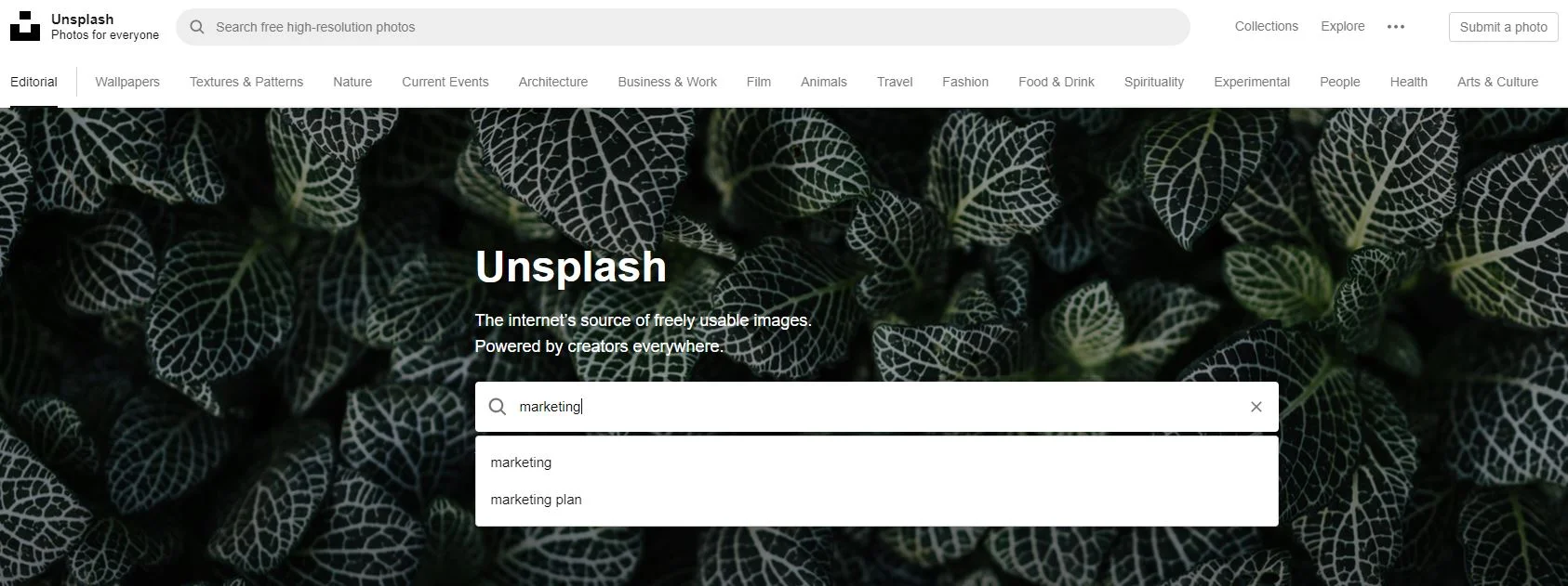Searching on Unsplash