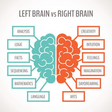 Left vs right side of the brain - Carmine Mastropierro