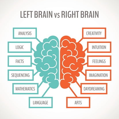 Left vs right side of the brain