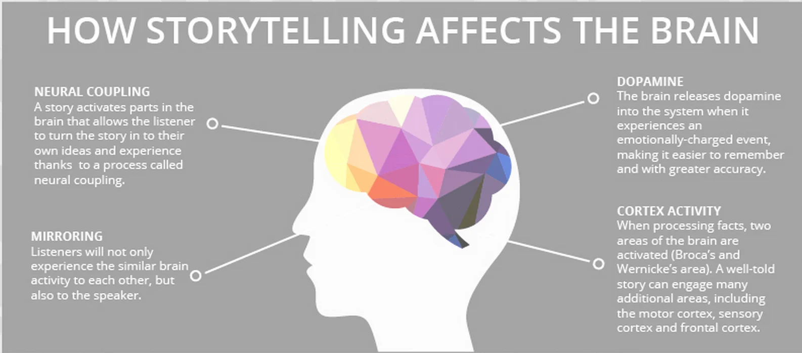 Storytelling and the brain