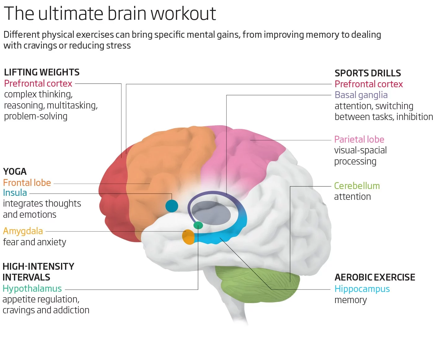 Types of exercise and the brain