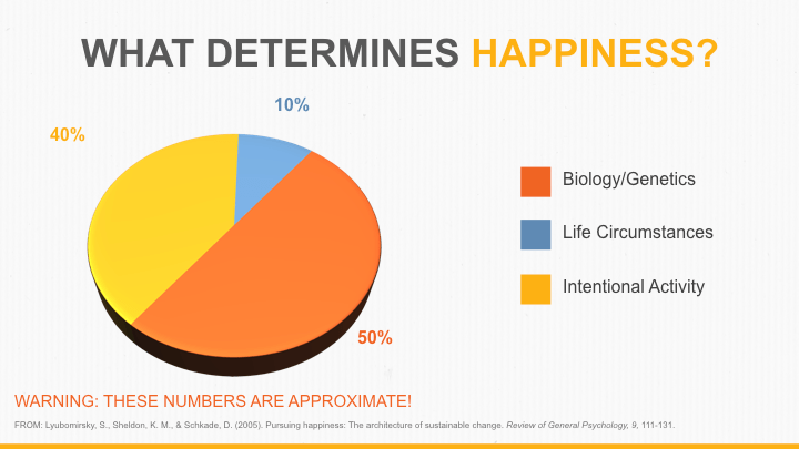 What determines happiness
