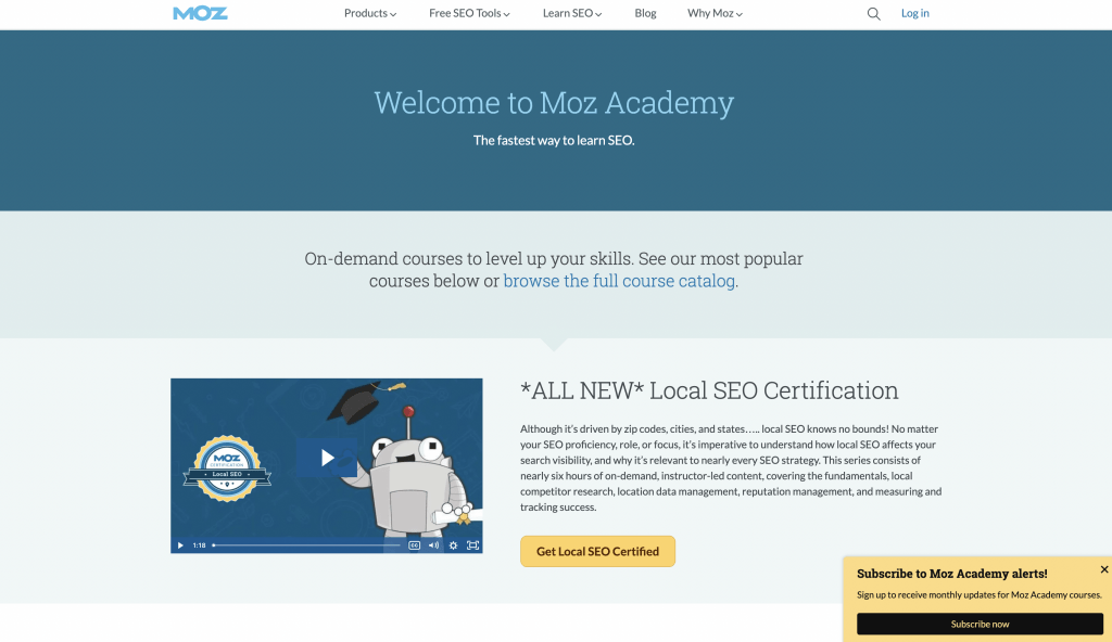 Moz SEO training