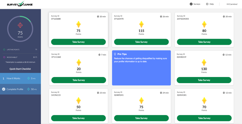 SurveyJunkie example