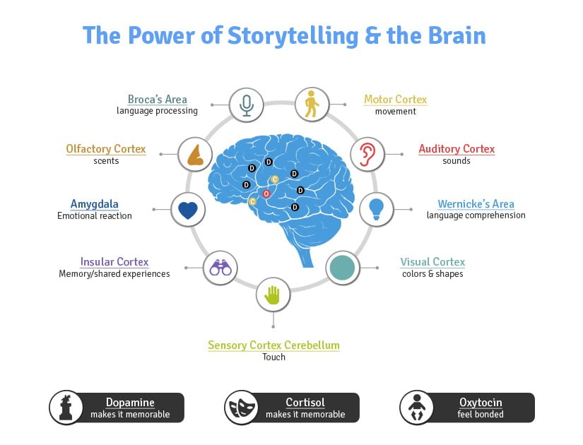 Brain and storytelling impact