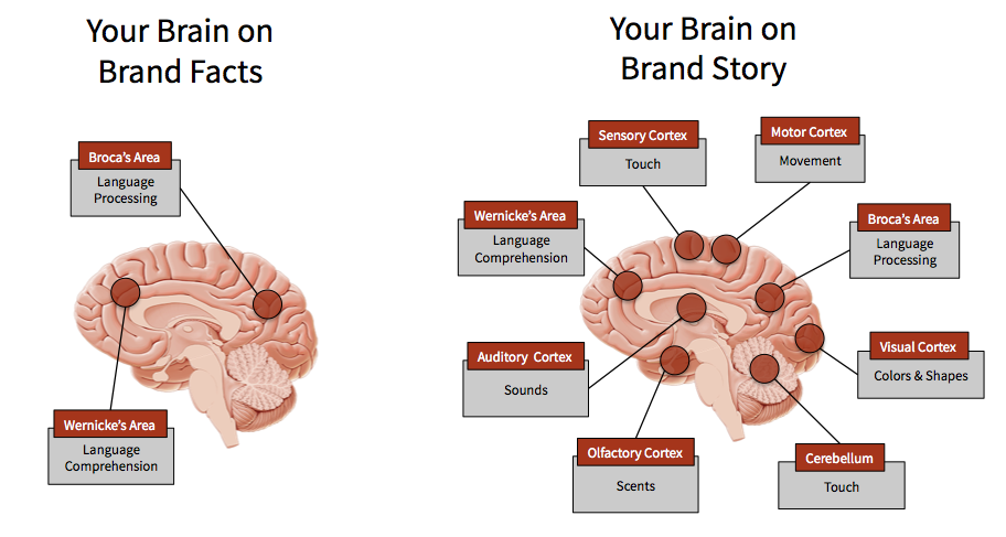 Brand story brain effects