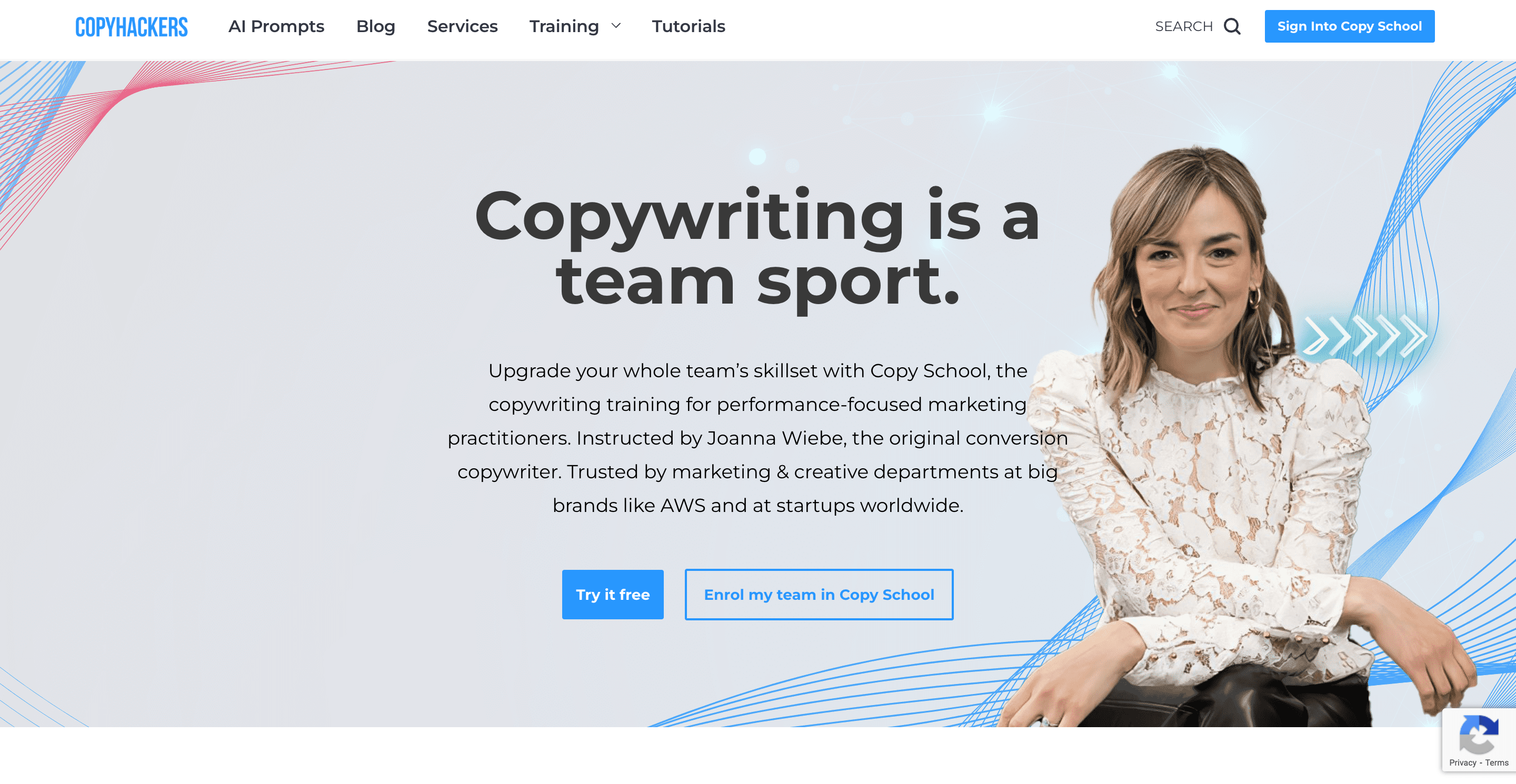 Copyhacker School